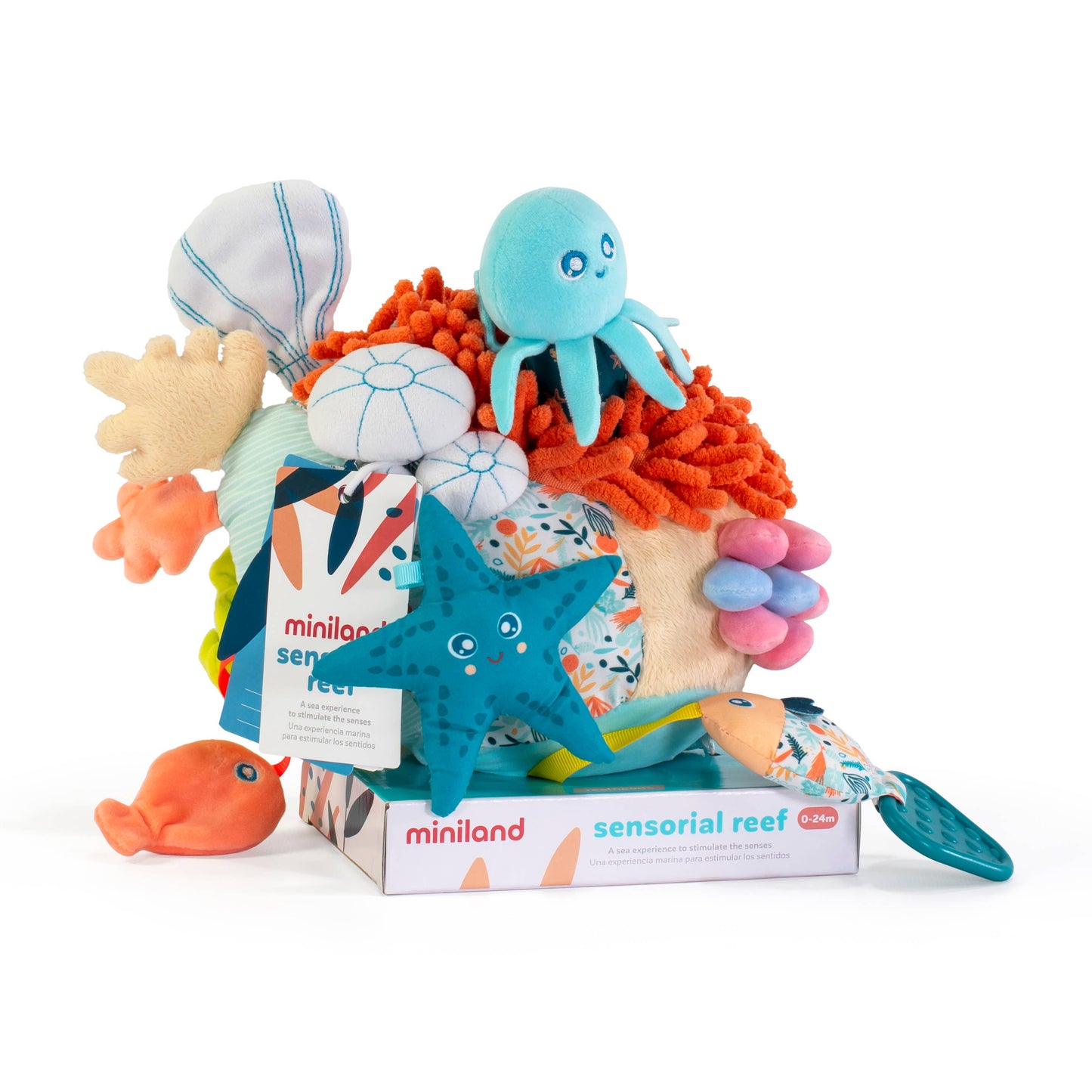 Miniland Sensorial Reef - TOTY finalist 2023