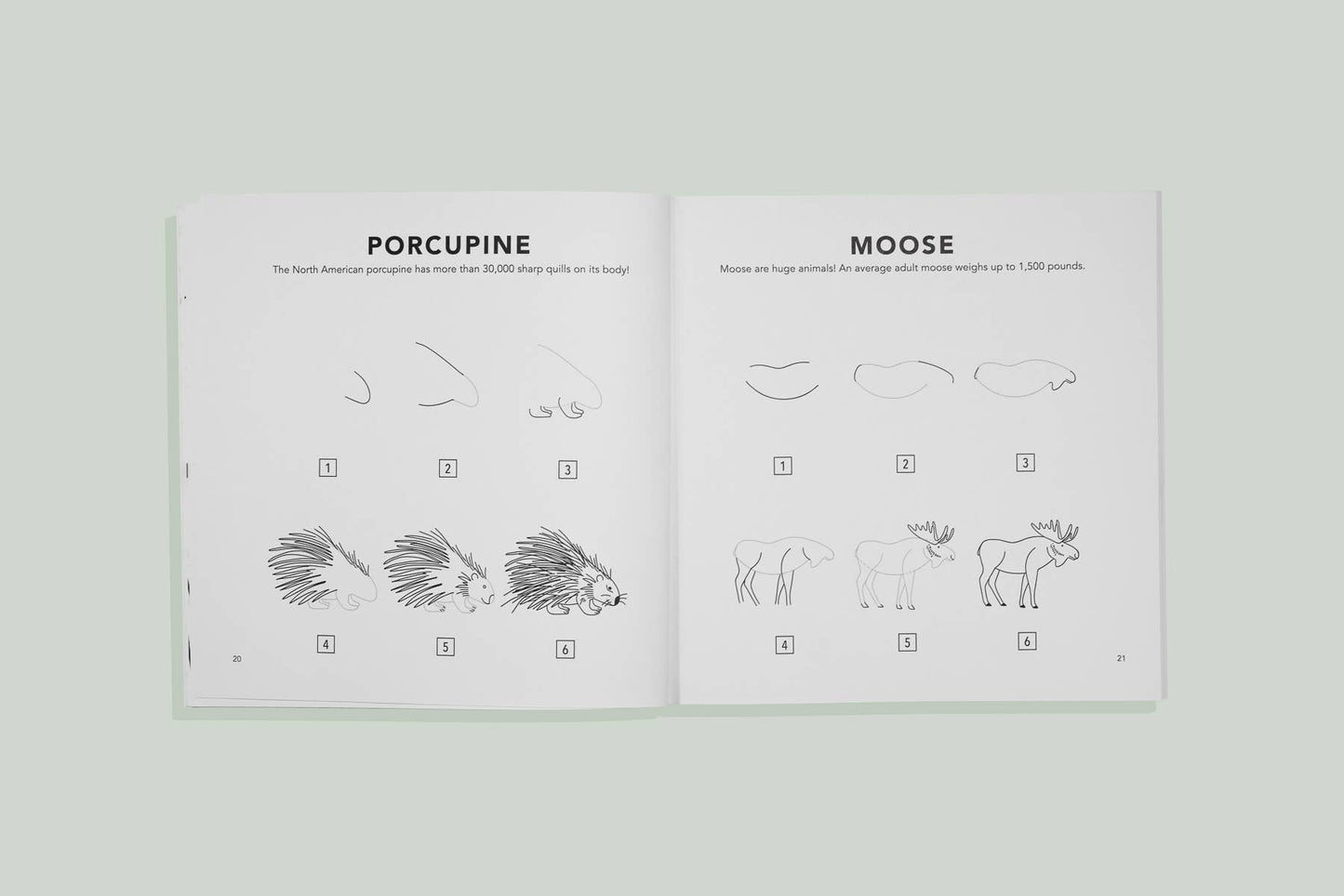 Mushrooms & Woodland Creatures: A How to Draw Art Book for Kids