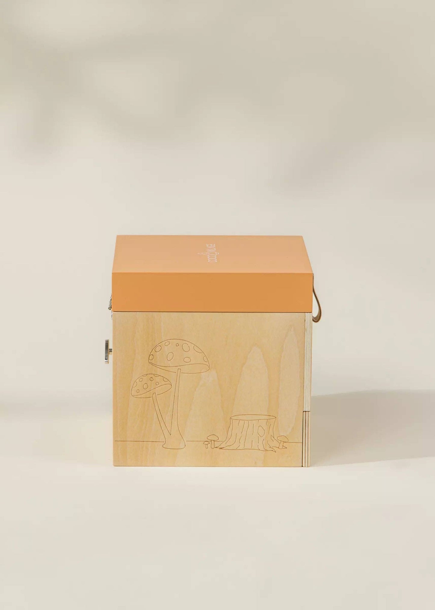 Wooden Musical Souvenir Box - Nature