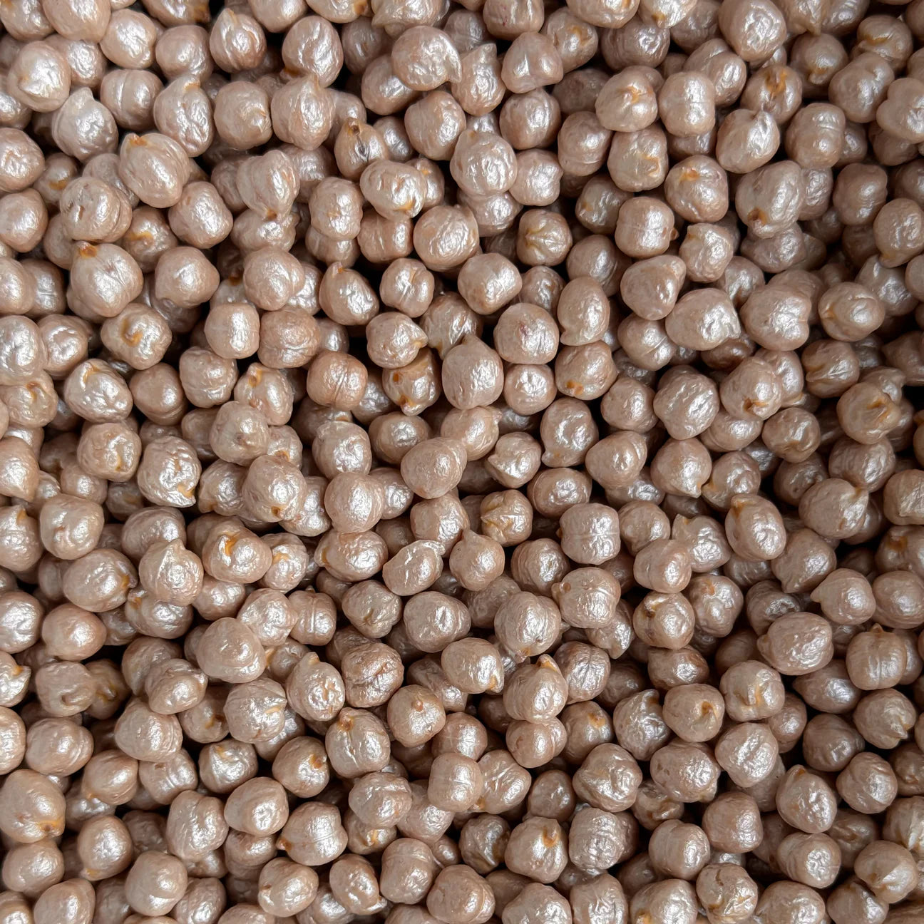 Metallic White Chickpeas Sensory Mix