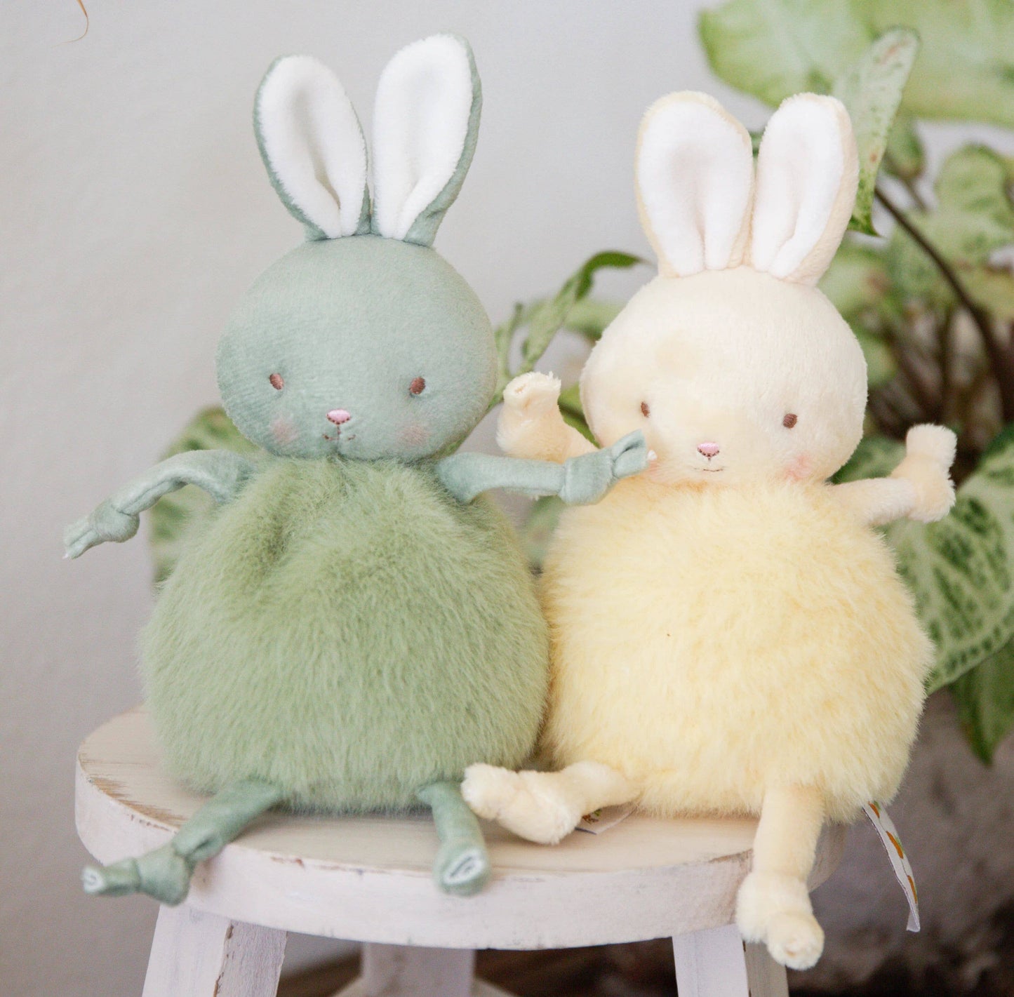 Pistachio Roly Poly Bunny