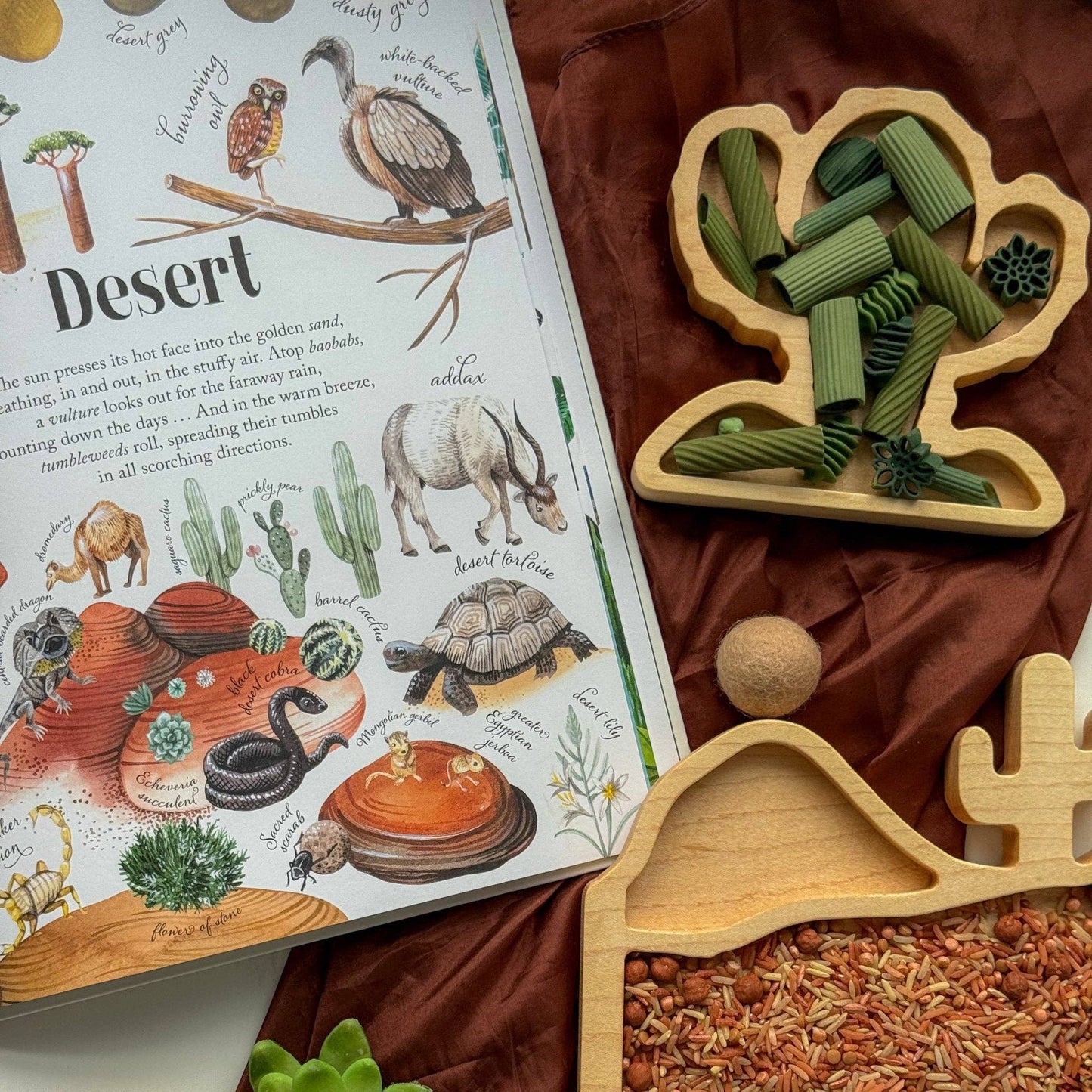 Mini Cactus Sensory Play Tray