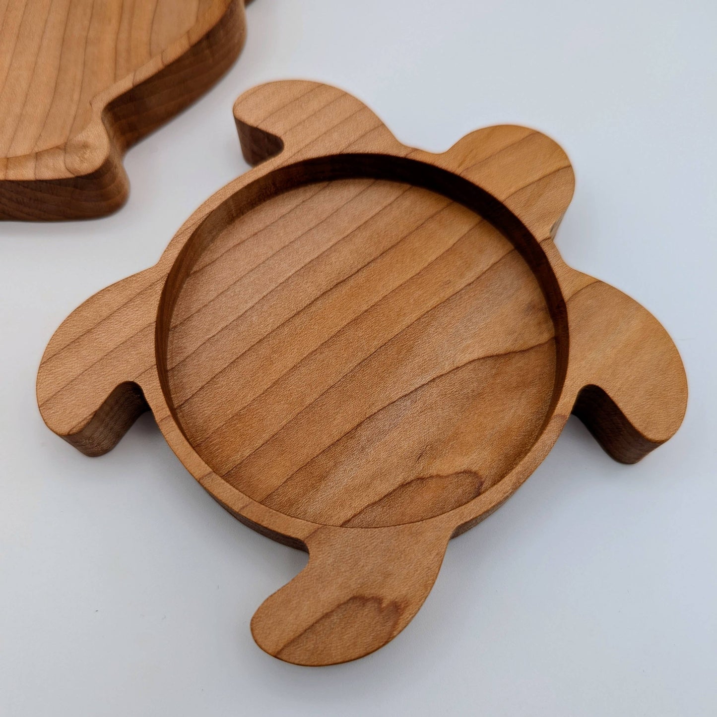Mini Turtle Sensory Play Tray