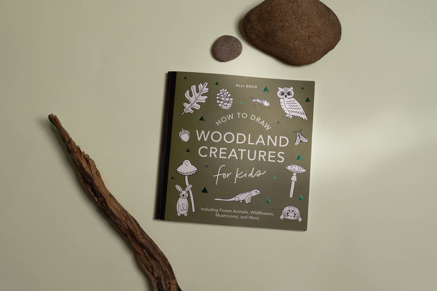 Mushrooms & Woodland Creatures: A How to Draw Art Book for Kids