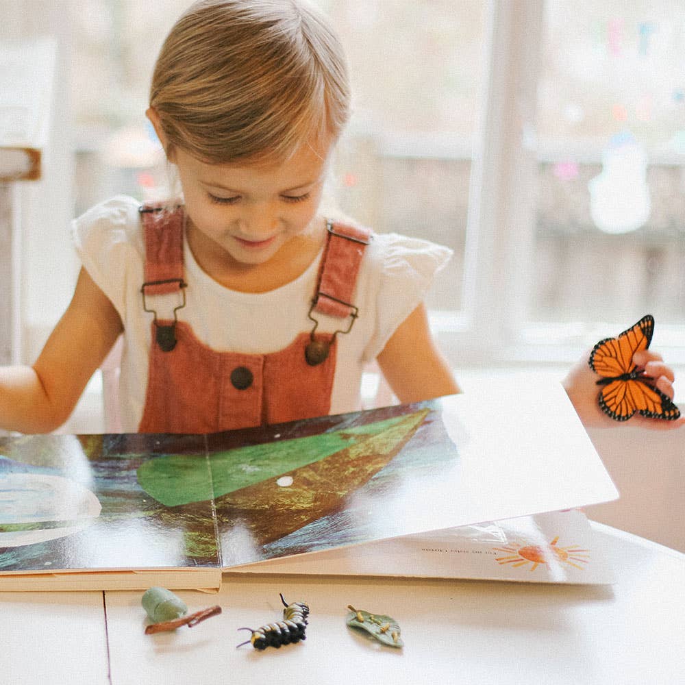 Life Cycle Of A Monarch Butterfly - 622616