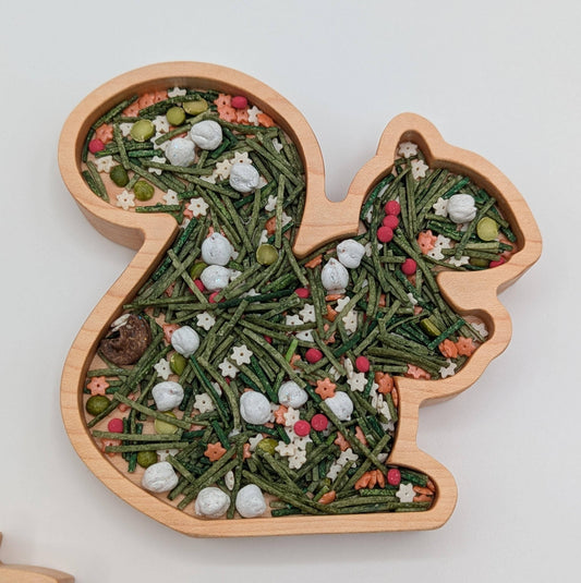 Mini Squirrel Sensory Play Tray