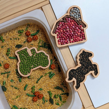 Mini Barn Sensory Play Tray