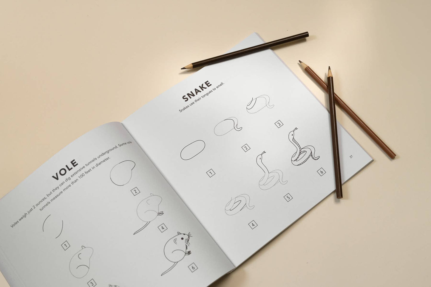 Mushrooms & Woodland Creatures: A How to Draw Art Book for Kids