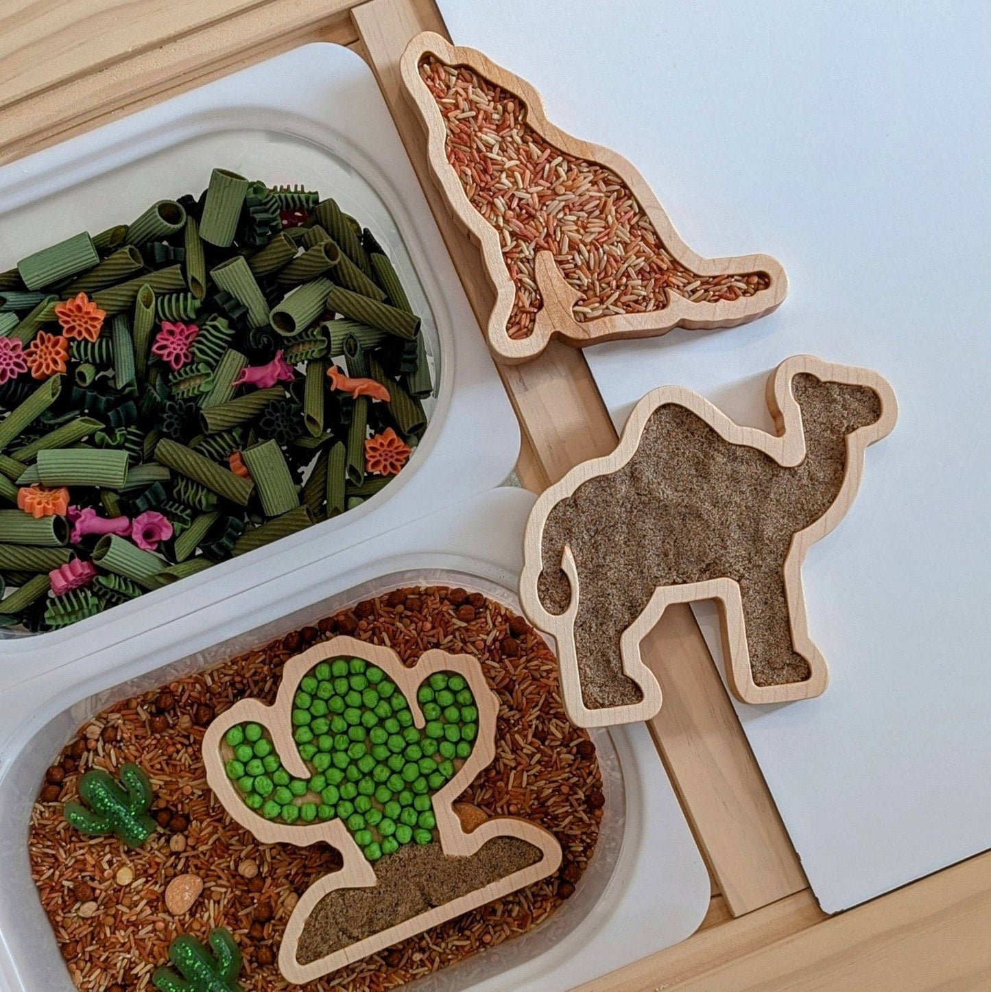 Mini Coyote Sensory Play Tray
