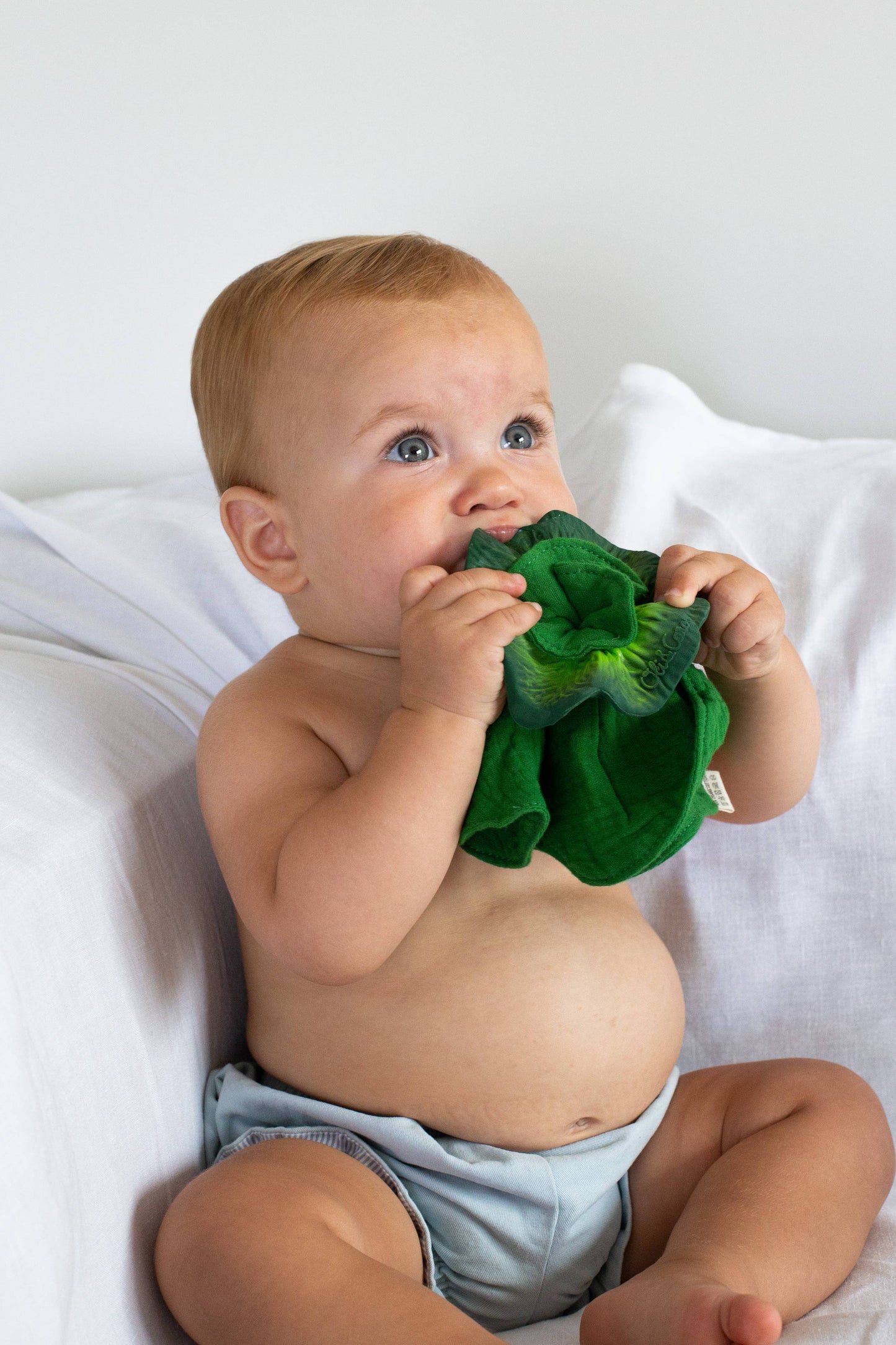 Kendall the Kale Mini DouDou Teether