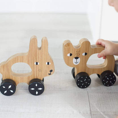 Push Toy - Bear