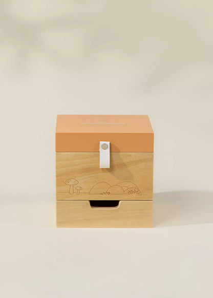 Wooden Musical Souvenir Box - Nature