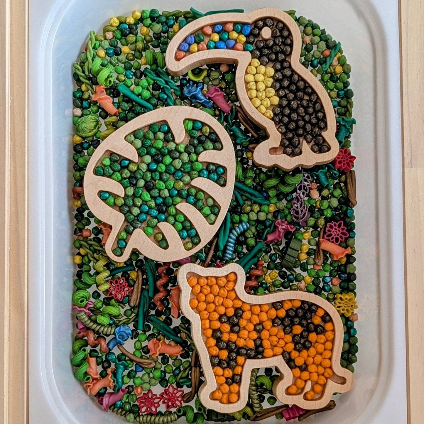 Mini Toucan Sensory Play Tray