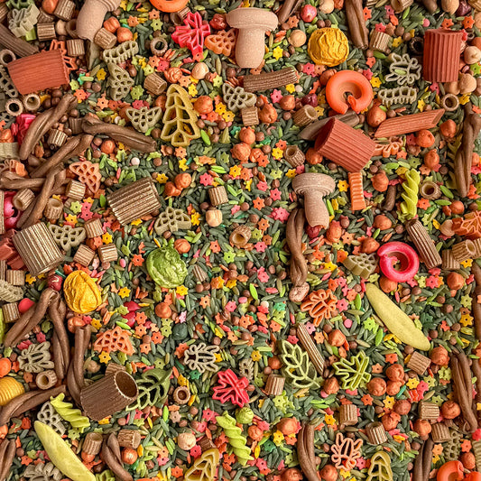 Into the Woods *LIMITED EDITION*