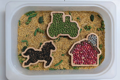 Mini Barn Sensory Play Tray