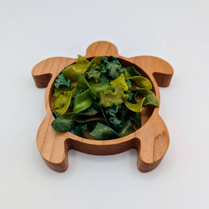 Mini Turtle Sensory Play Tray