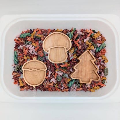 Mini Mushroom Sensory Play Tray