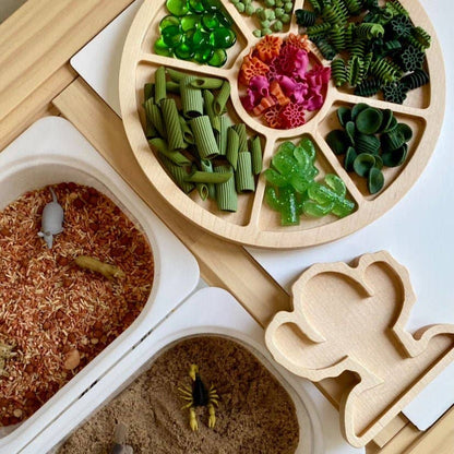 Mini Cactus Sensory Play Tray