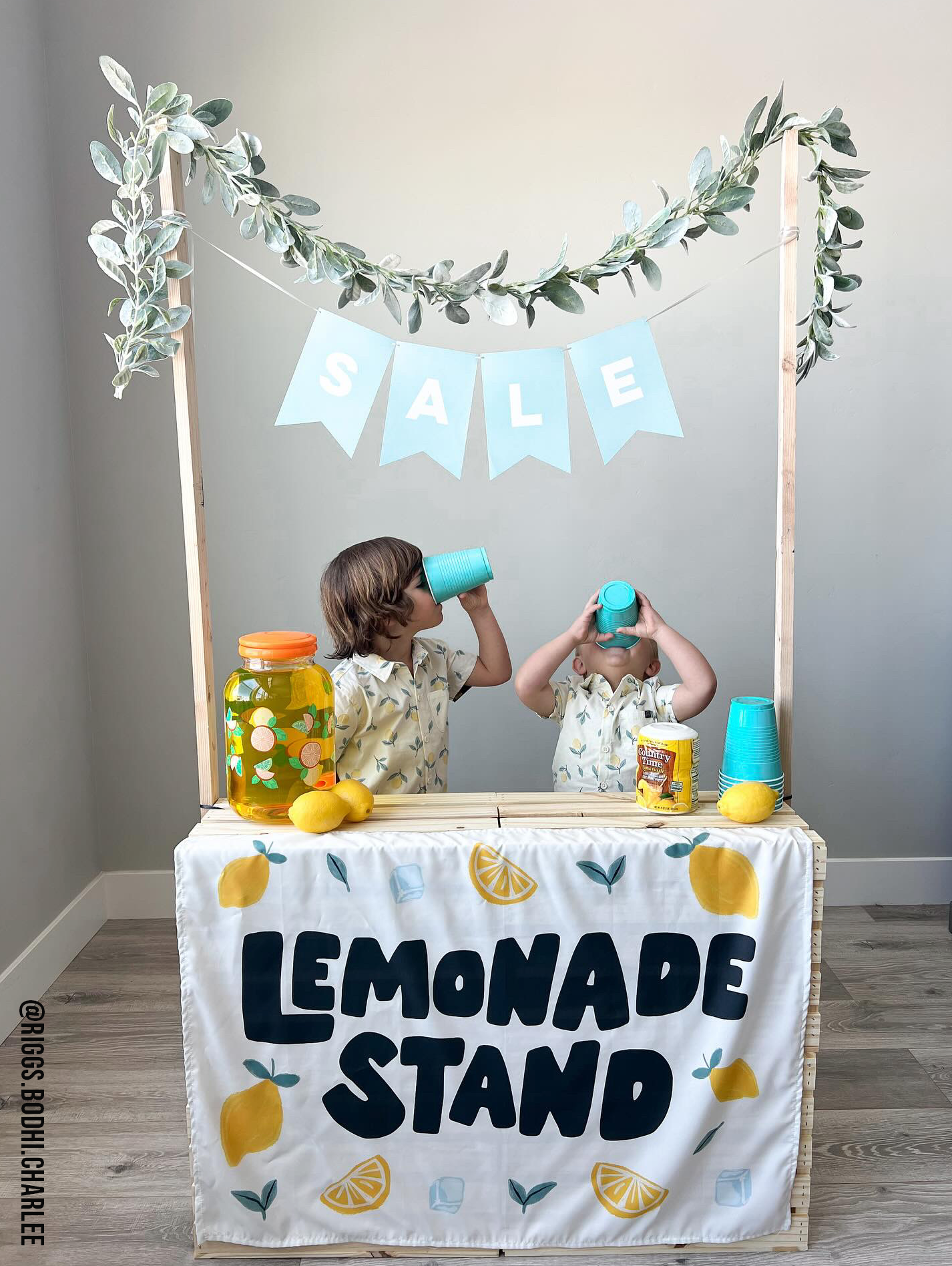 Lemonade Stand Banner - Kids Summer Pretend Play Wall Decor
