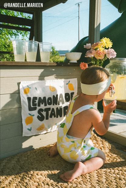 Lemonade Stand Banner - Kids Summer Pretend Play Wall Decor