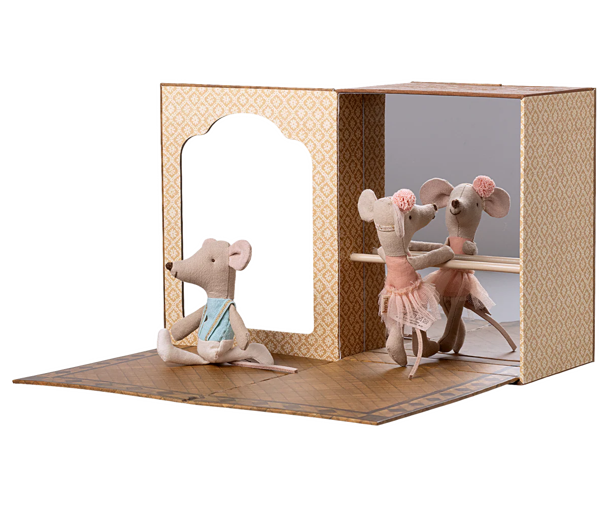 Ballet Mice in Dance Studio - Little Brother & Little Sister