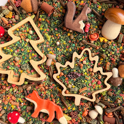 Into the Woods *LIMITED EDITION*