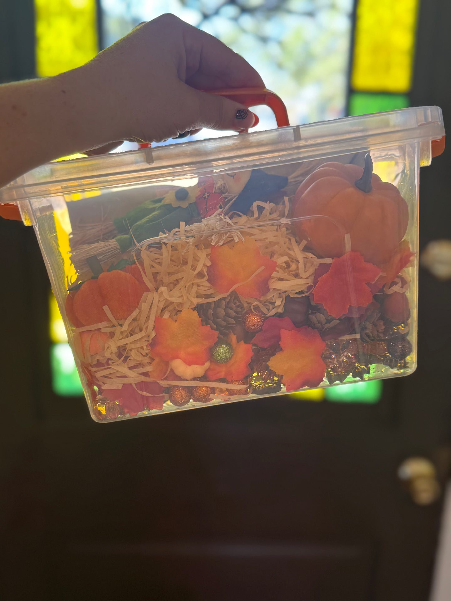 Harvest Blend Sensory Kit *LIMITED STOCK*