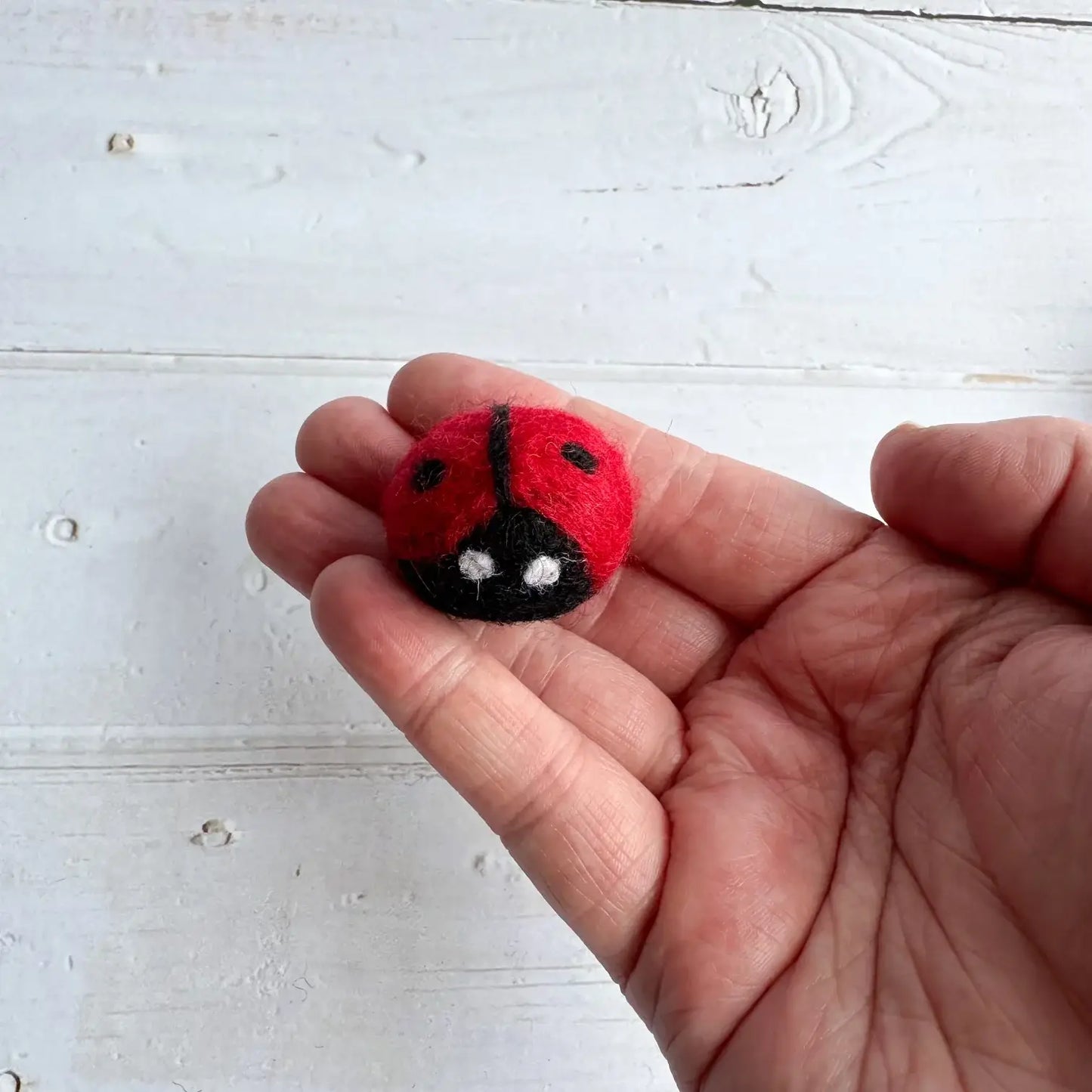 One Felt Ladybug