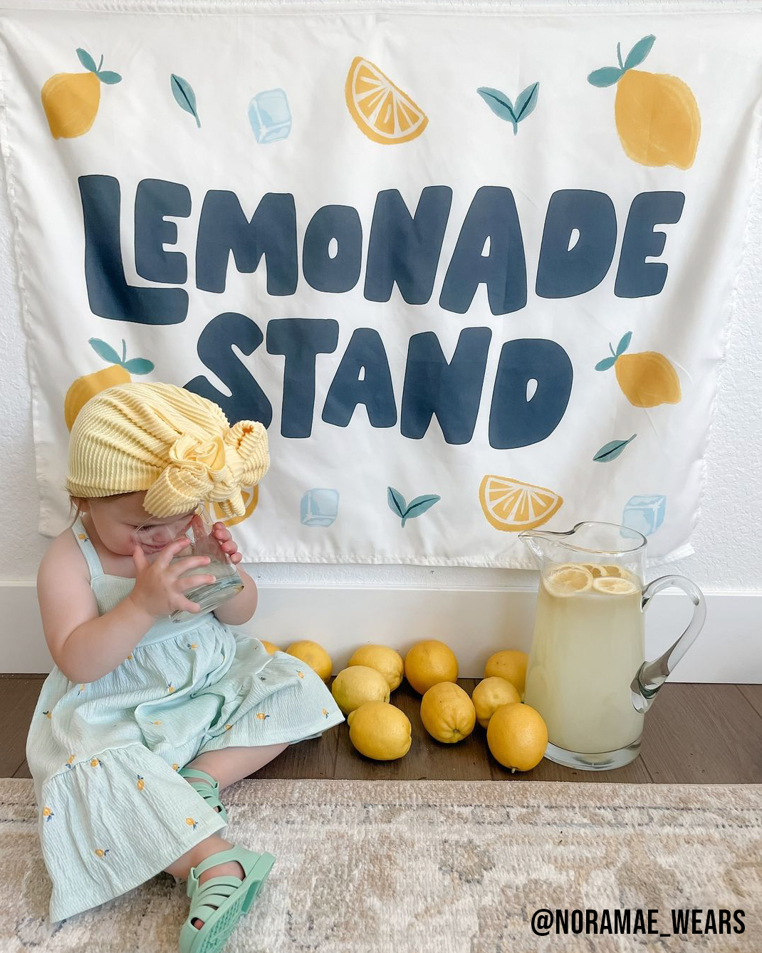 Lemonade Stand Banner - Kids Summer Pretend Play Wall Decor
