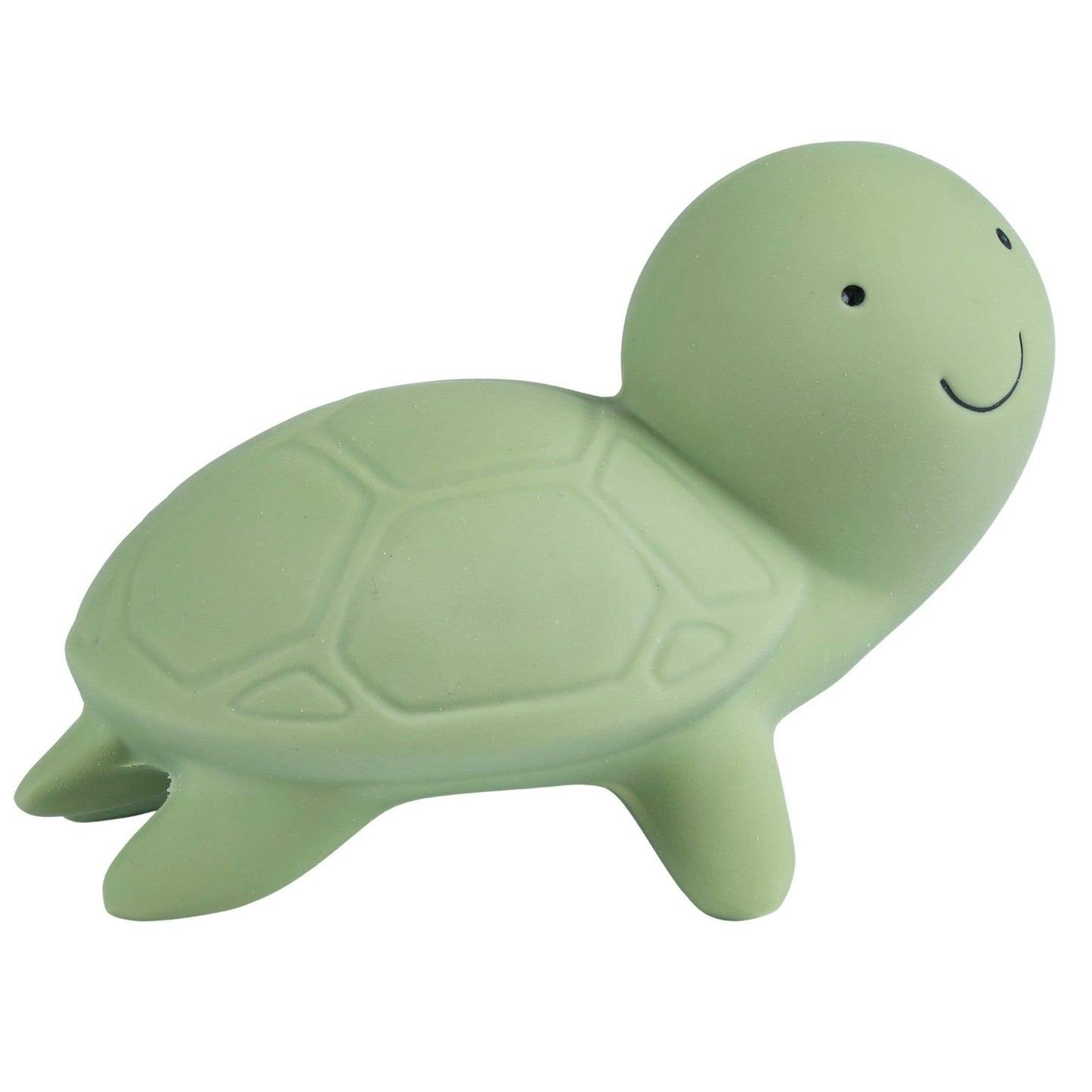 Turtle Natural Organic Rubber Teether